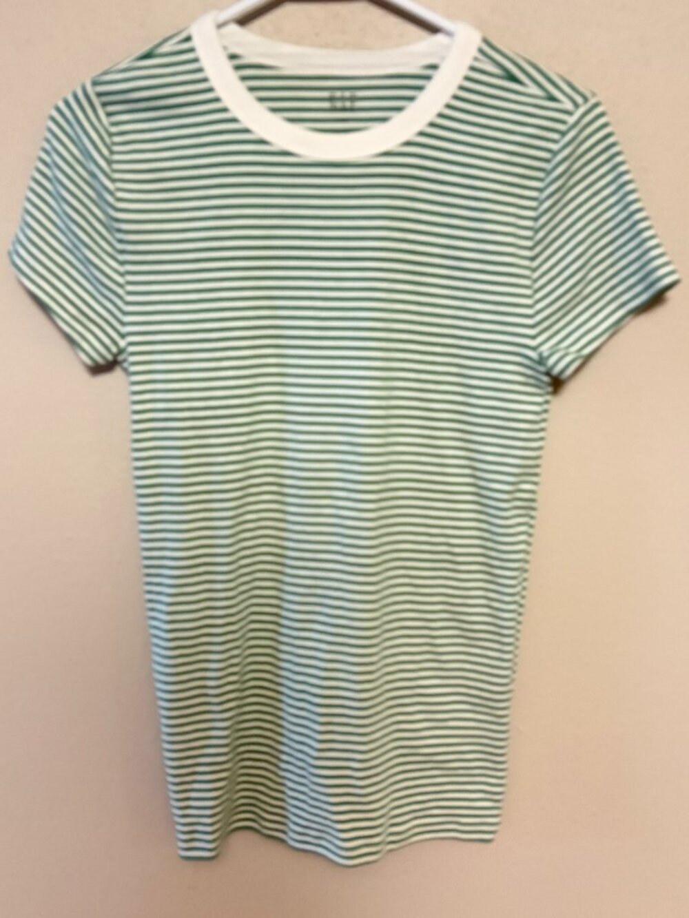 Gap Modern Rib Green Stripe Crewneck T-Shirt Small Tall